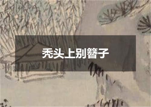 秃头上别簪子