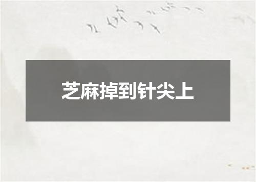 芝麻掉到针尖上