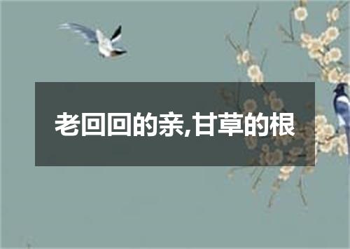 老回回的亲,甘草的根
