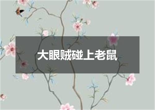 大眼贼碰上老鼠
