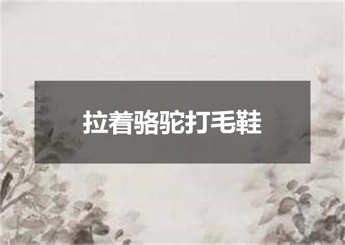 拉着骆驼打毛鞋