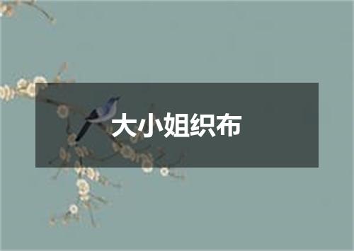 大小姐织布