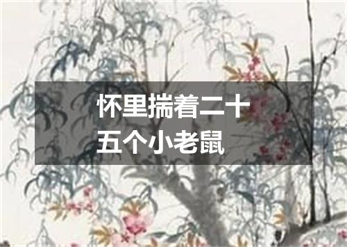怀里揣着二十五个小老鼠