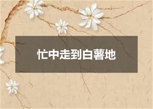 忙中走到白薯地