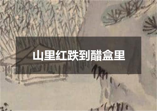 山里红跌到醋盒里