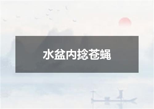水盆内捻苍蝇