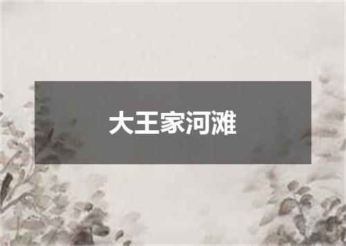 大王家河滩