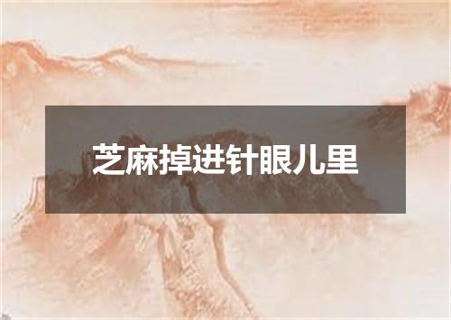芝麻掉进针眼儿里