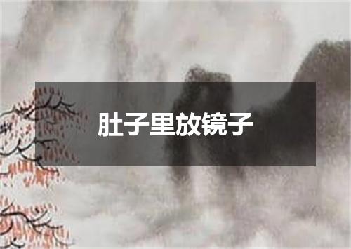 肚子里放镜子