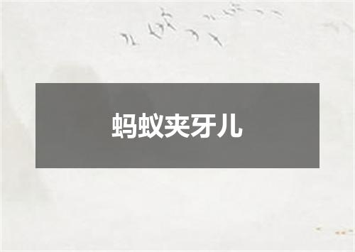 蚂蚁夹牙儿