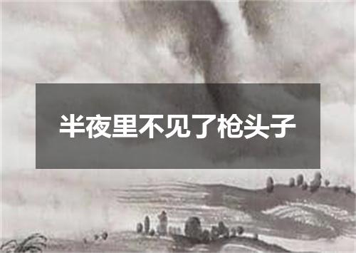 半夜里不见了枪头子