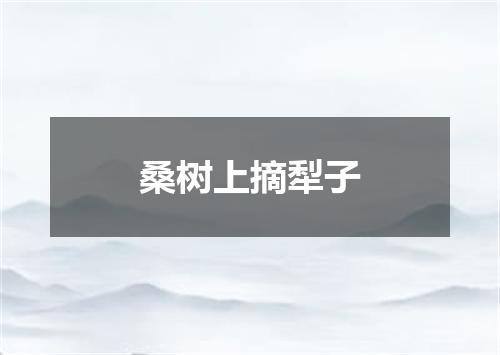 桑树上摘犁子