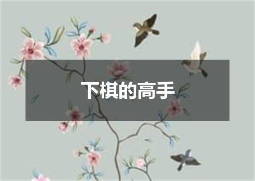 下棋的高手