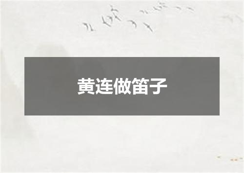 黄连做笛子