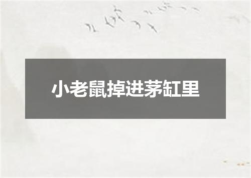 小老鼠掉进茅缸里