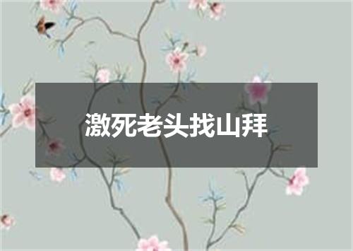 激死老头找山拜