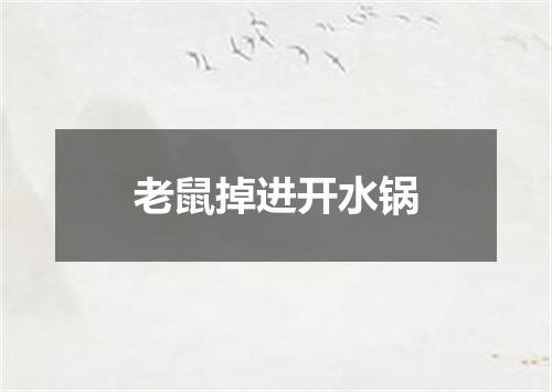 老鼠掉进开水锅