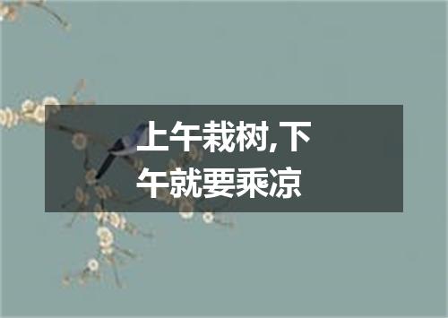 上午栽树,下午就要乘凉