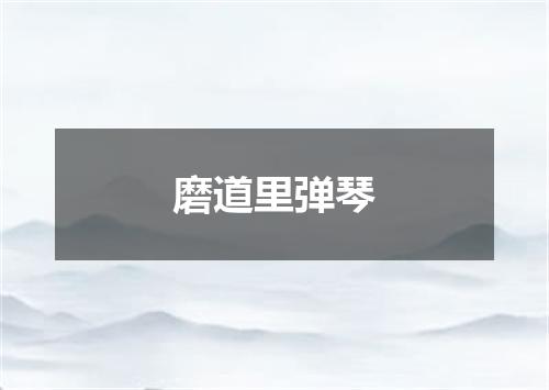 磨道里弹琴