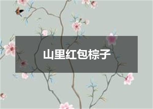 山里红包棕子