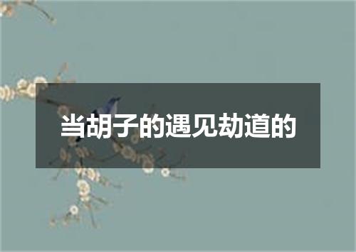 当胡子的遇见劫道的