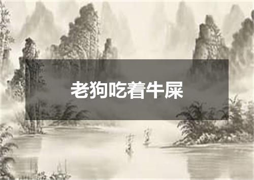 老狗吃着牛屎