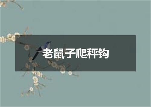 老鼠子爬秤钩