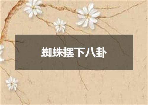 蜘蛛摆下八卦