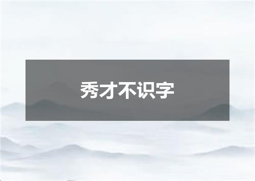 秀才不识字