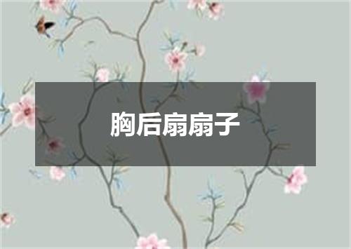 胸后扇扇子