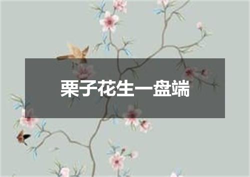 栗子花生一盘端