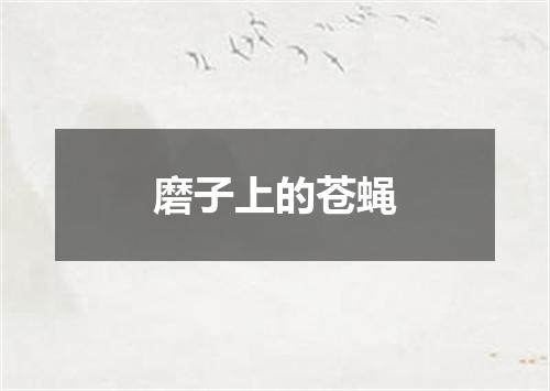 磨子上的苍蝇