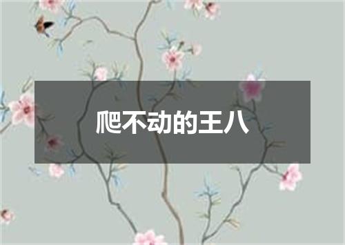 爬不动的王八