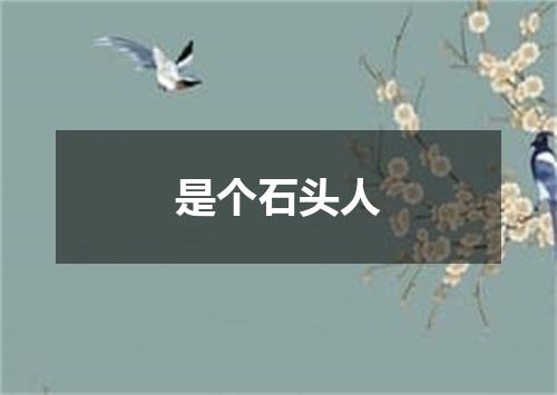 是个石头人