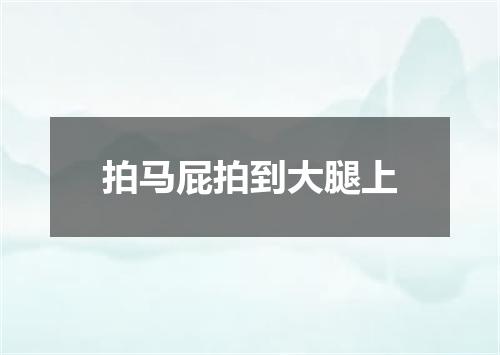 拍马屁拍到大腿上