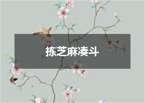 拣芝麻凑斗