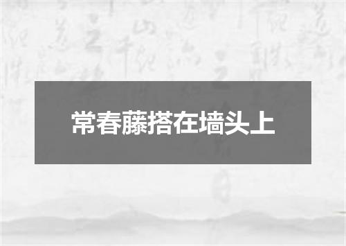 常春藤搭在墙头上