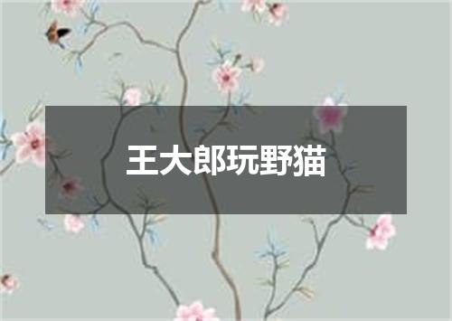 王大郎玩野猫
