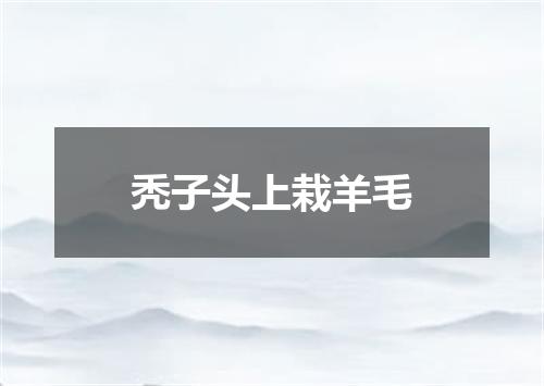 秃子头上栽羊毛