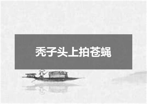 秃子头上拍苍蝇