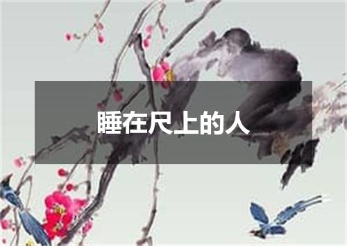 睡在尺上的人