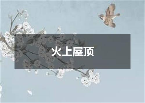 火上屋顶