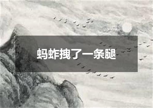 蚂蚱拽了一条腿