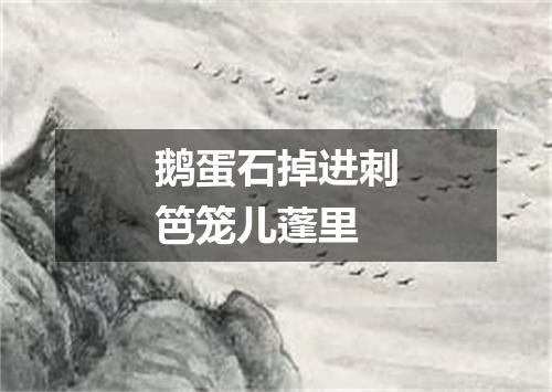 鹅蛋石掉进刺笆笼儿蓬里