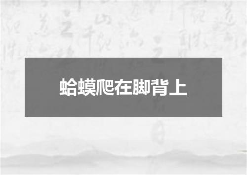 蛤蟆爬在脚背上