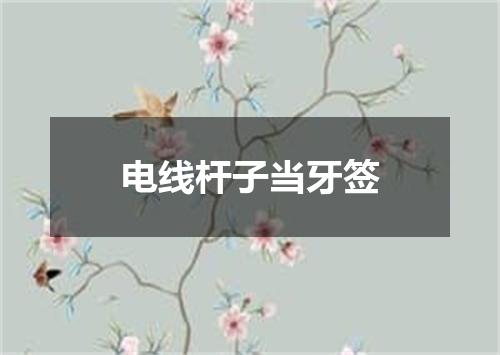 电线杆子当牙签