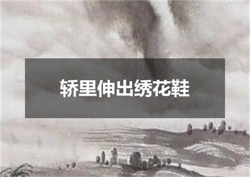轿里伸出绣花鞋