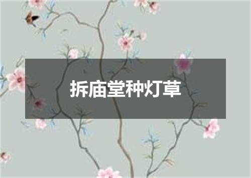 拆庙堂种灯草