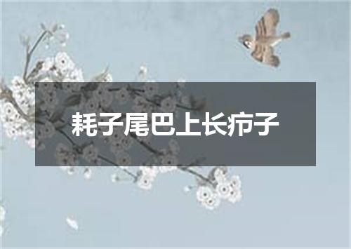 耗子尾巴上长疖子