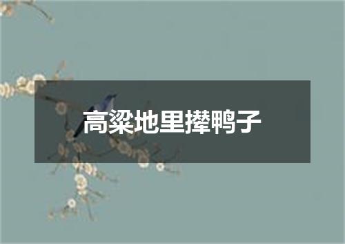 高粱地里撵鸭子